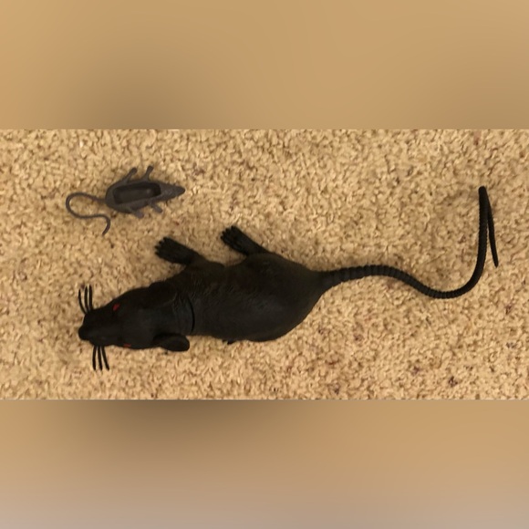 Rat and mouse Life like Halloween decoration rat with mouse, like new or new - Picture 8 of 8